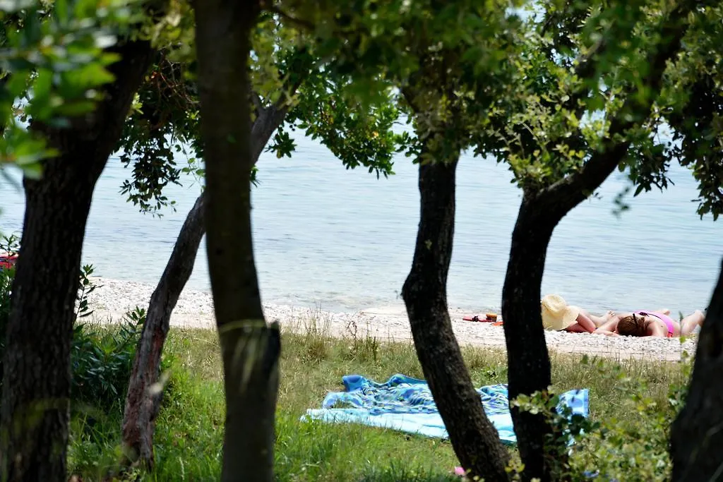Apartamento Apartman Kister Petrčane Croacia